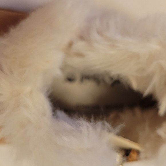 Timberland - Picture 8 of 8